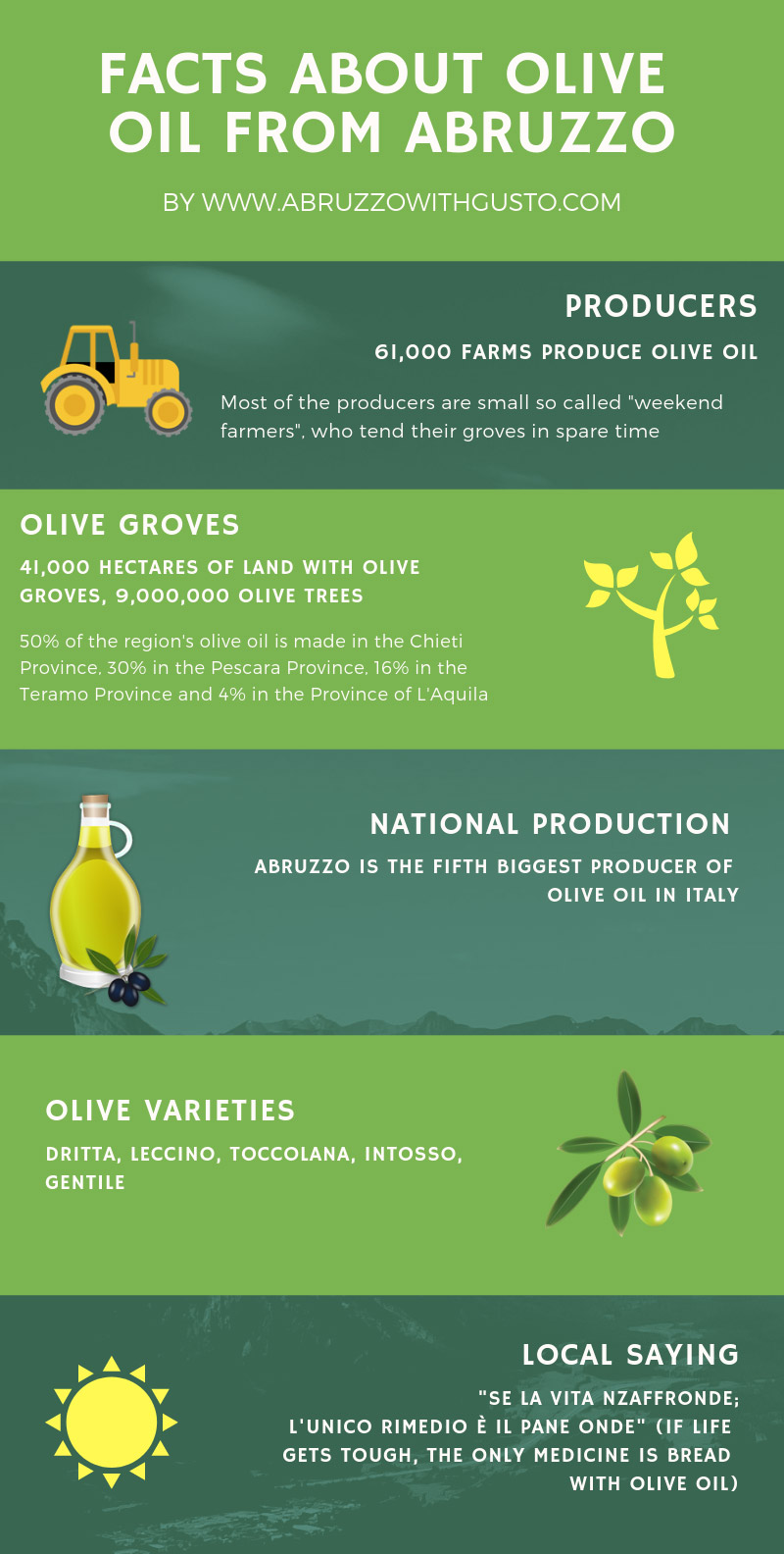things to know about olive oil